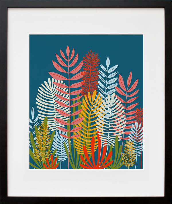 Ferns