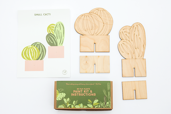 SR Flat Plants, Small Cactus Set of 2
