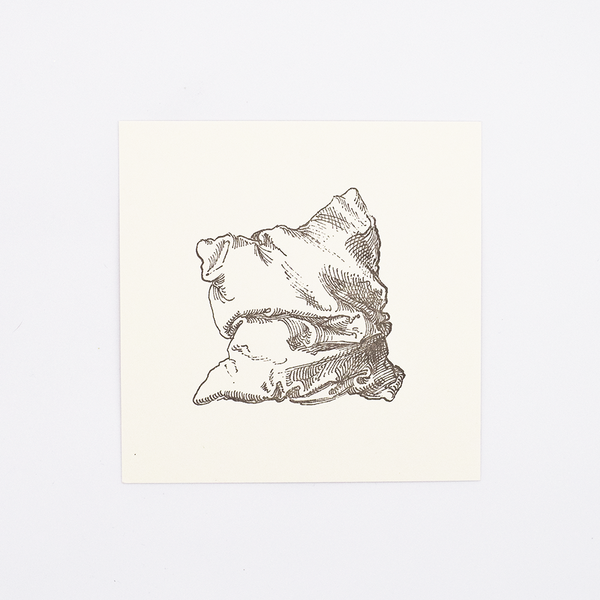 Single Pillow Studies Letterpress by Albrecht Dürer