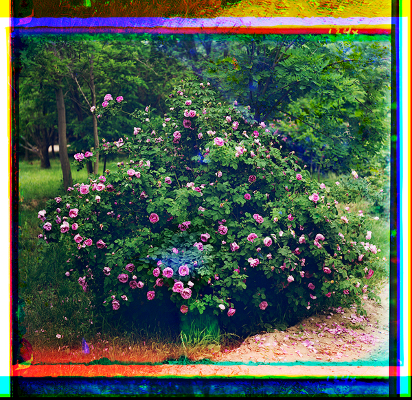 New! Two radiant images by Sergei Prokudin-Gorskii 📷