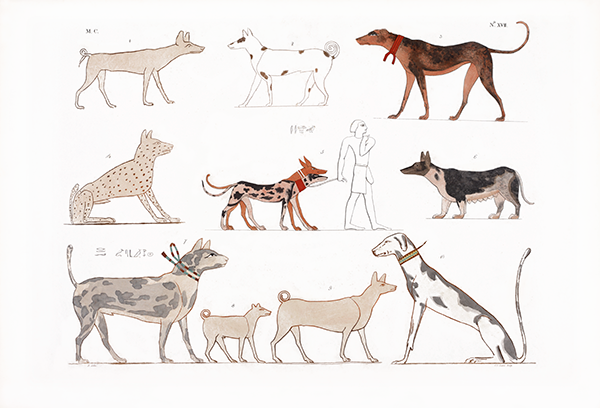 Painterly pups from ancient Egypt (by way of 19th c. Italy!)