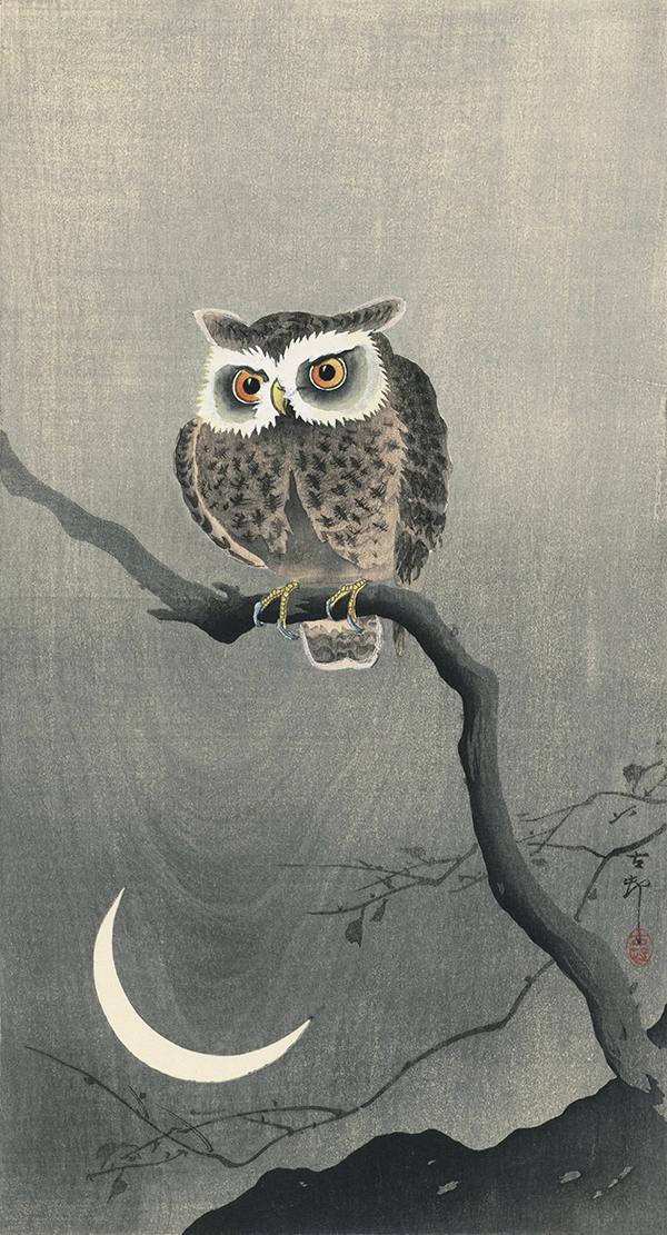 New! A moonlit owl presides over this vintage kacho-e print.