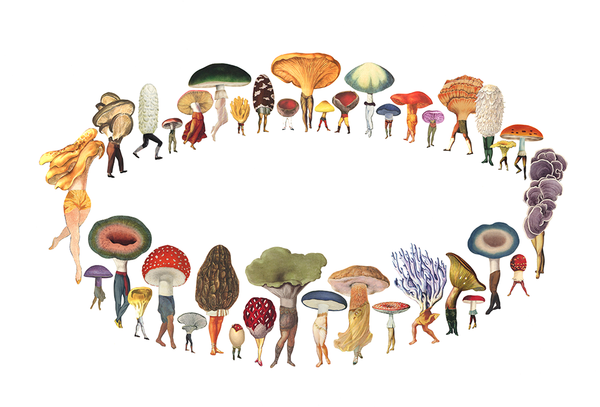 Fantastical fungi circle up in Amy Ross’s new “Fairy Ring”.