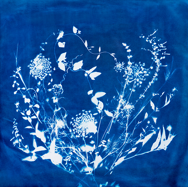 Caitlin Parker crisscrosses coasts in her cyanotype debut.