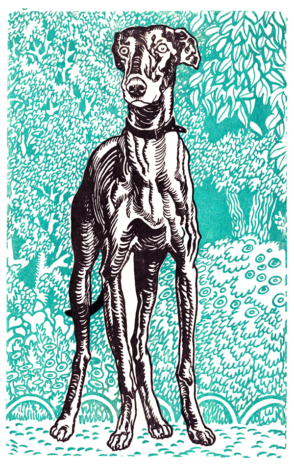 New! Greyhound: modern design in a 20th c. woofcut print