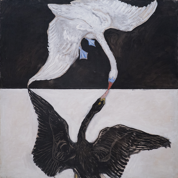 New! Hilma af Klint considers unity and duality ◾ 🦢 ◾