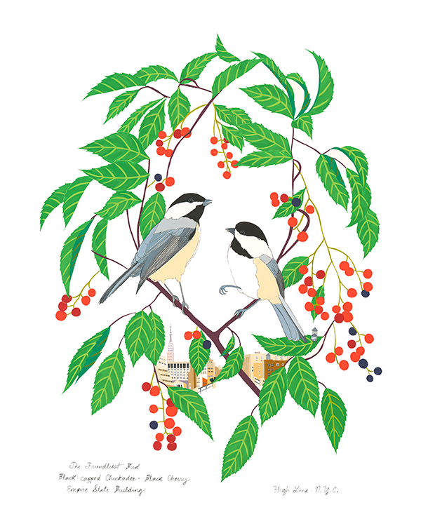 New Art from Amy Jean Porter! Birds + Berries with an Enviable NYC View