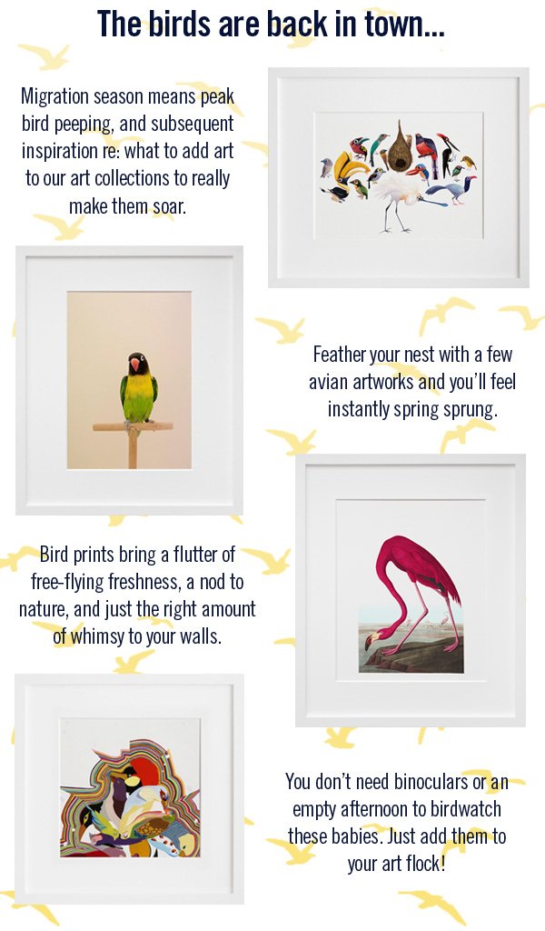 Spring sprucing your space? Swoop on these avian artworks.