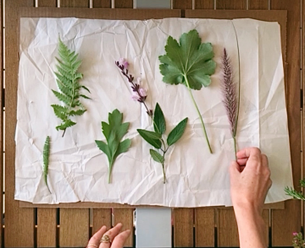 Caitlin Parker plant pressing demos and florals for spring