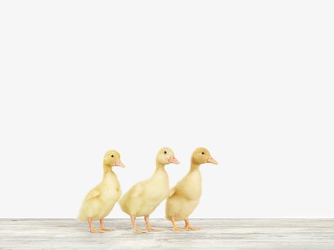Where to Buy Art? Wall St. Journal Sez: Right Here.