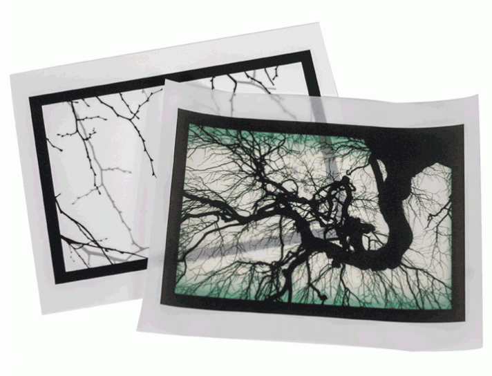 Special New Edition from Mike + Doug Starn | Structure of Thought 30