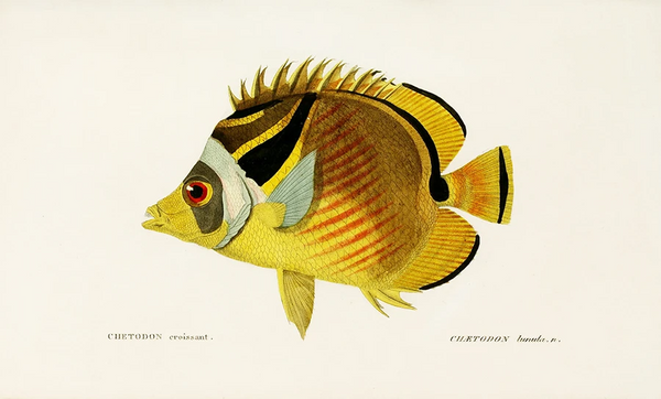 Pisces season calls for astrologically-apropos aquatic art