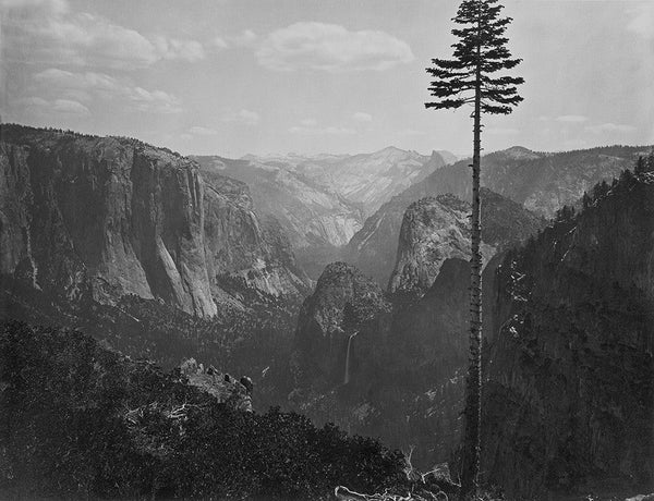 Load image into Gallery viewer, Yosemite Valley
