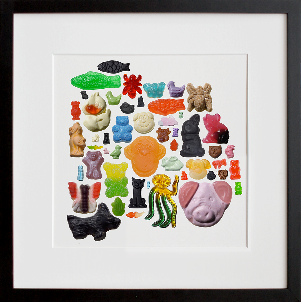 Animals I in a black frame