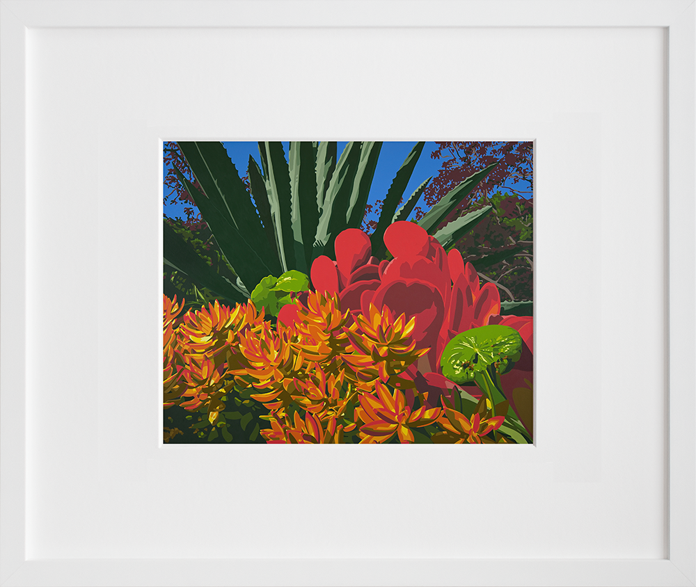 Downtown Succulents in a white frame