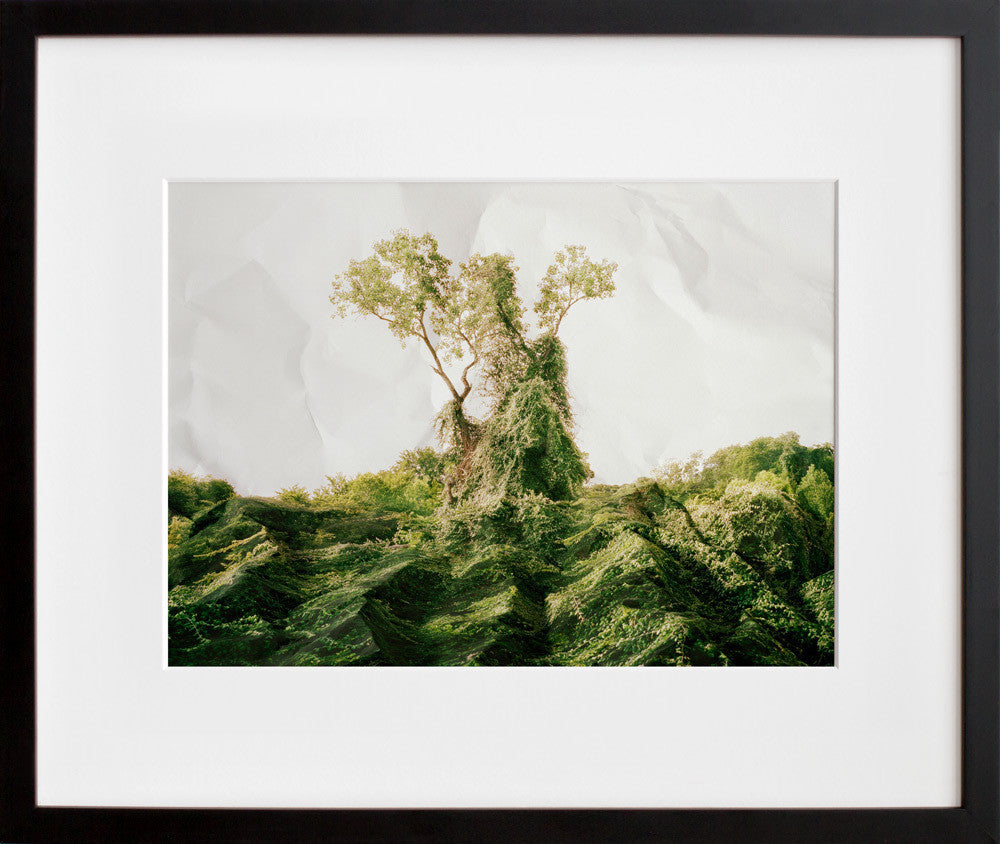Response to Print of Kudzu, Texas in a black frame
