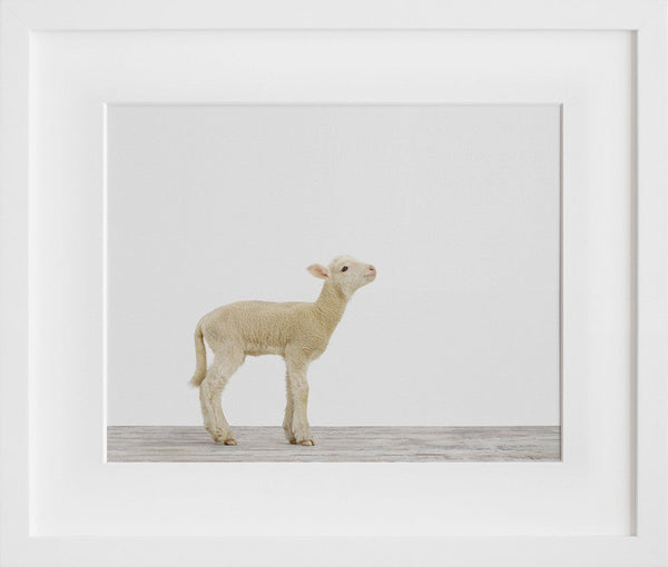 Load image into Gallery viewer, Lamb No. 3

