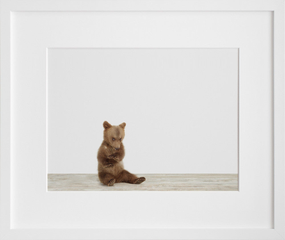 Bear Cub No. 4 in a white frame