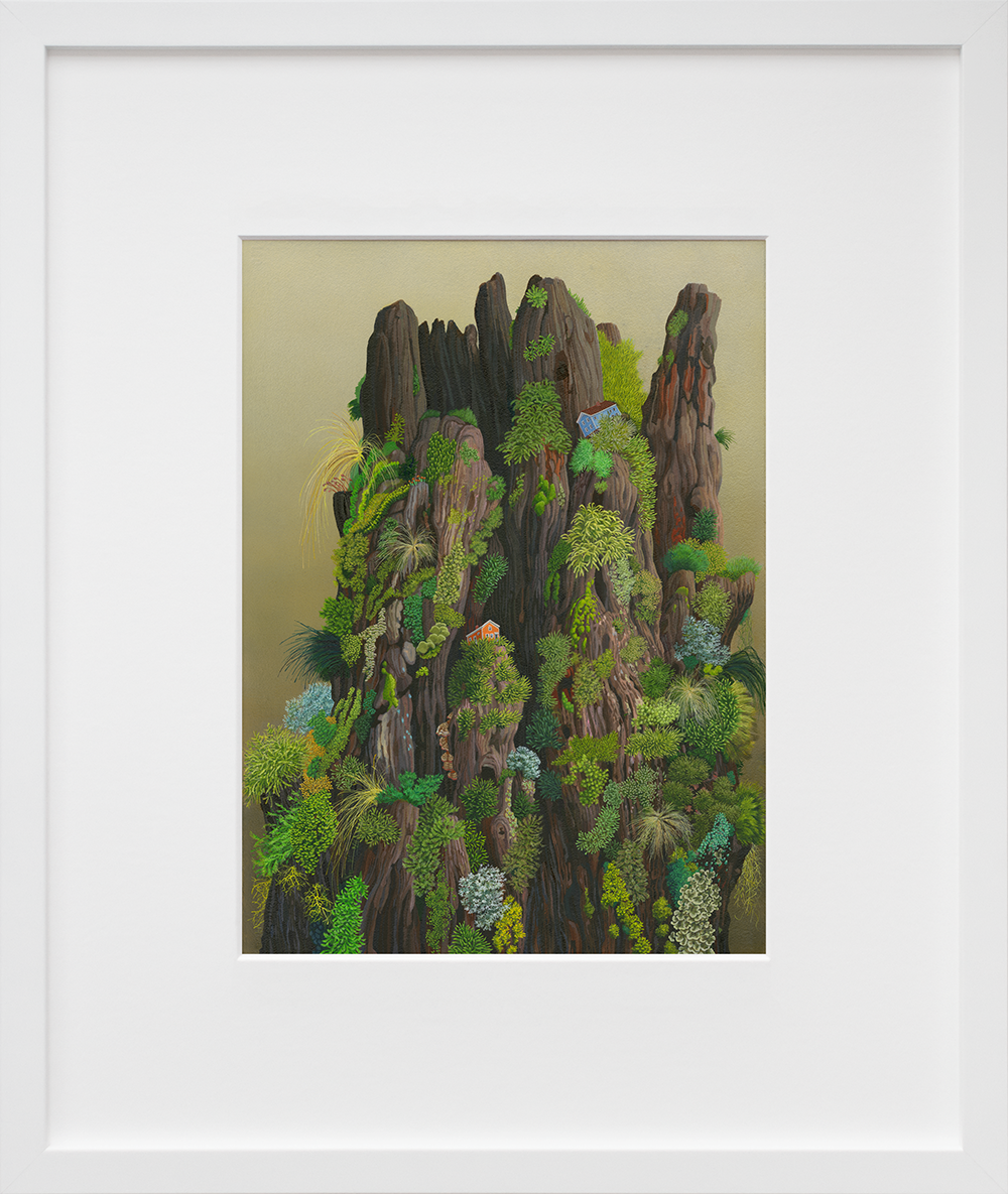 4911_Casey_Vivacious_Framed_Wh