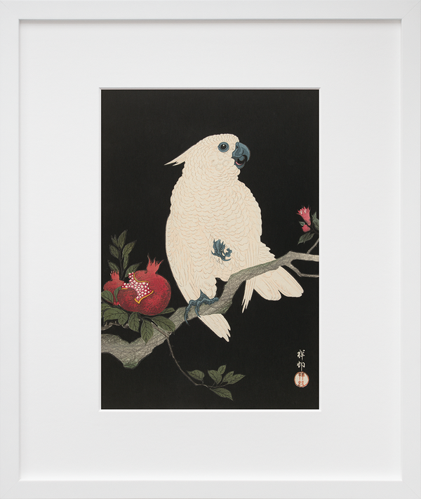 Cockatoo and Pomegranate