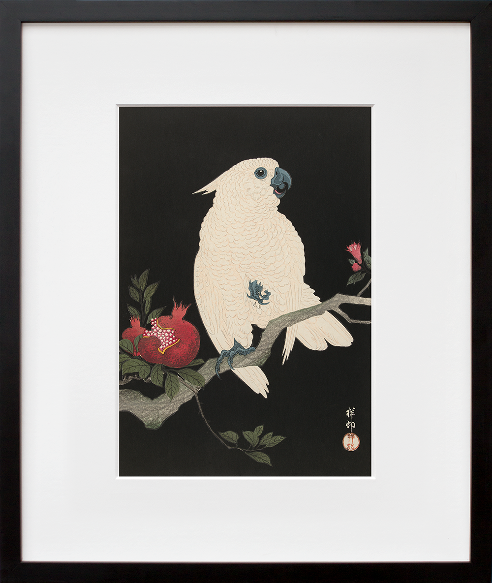 Cockatoo and Pomegranate in a black frame