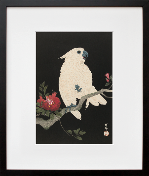 Cockatoo and Pomegranate