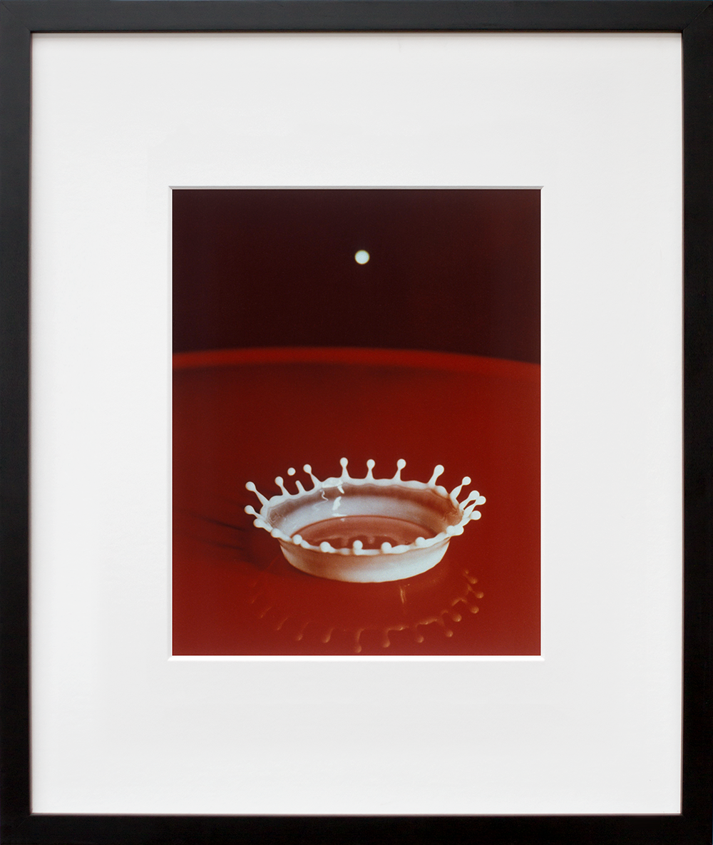 Milk Drop Coronet in a black frame