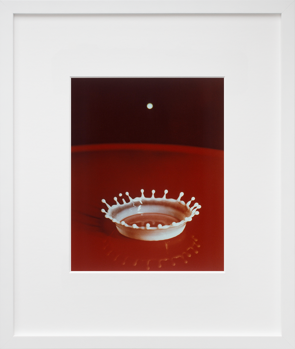 Milk Drop Coronet in a white frame