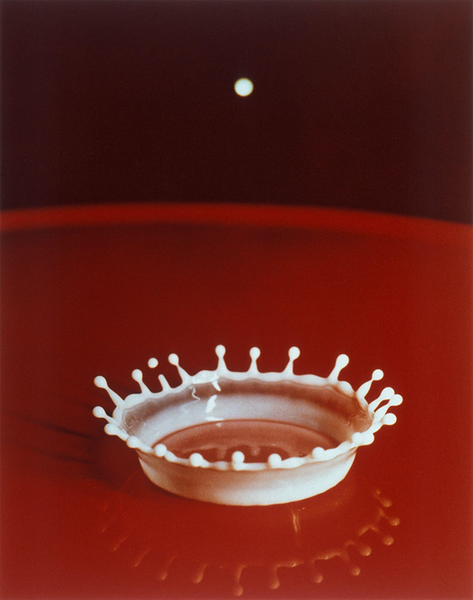 Harold Edgerton's Milk Drop Coronet 20x200 - Main Image
