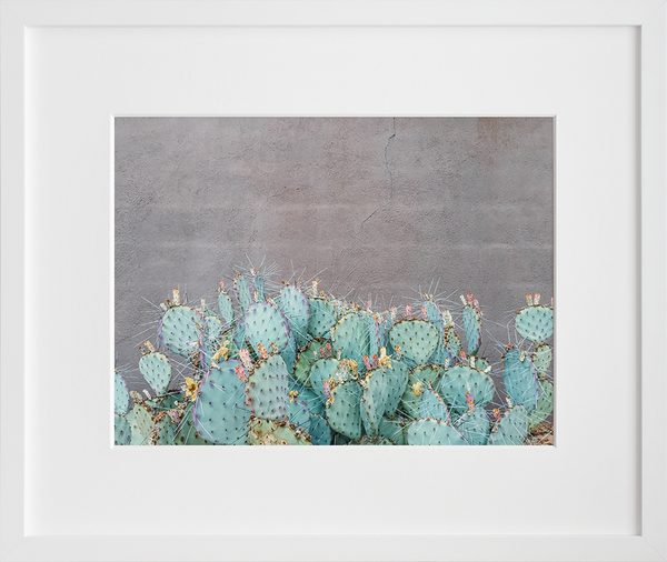 Load image into Gallery viewer, Opuntia
