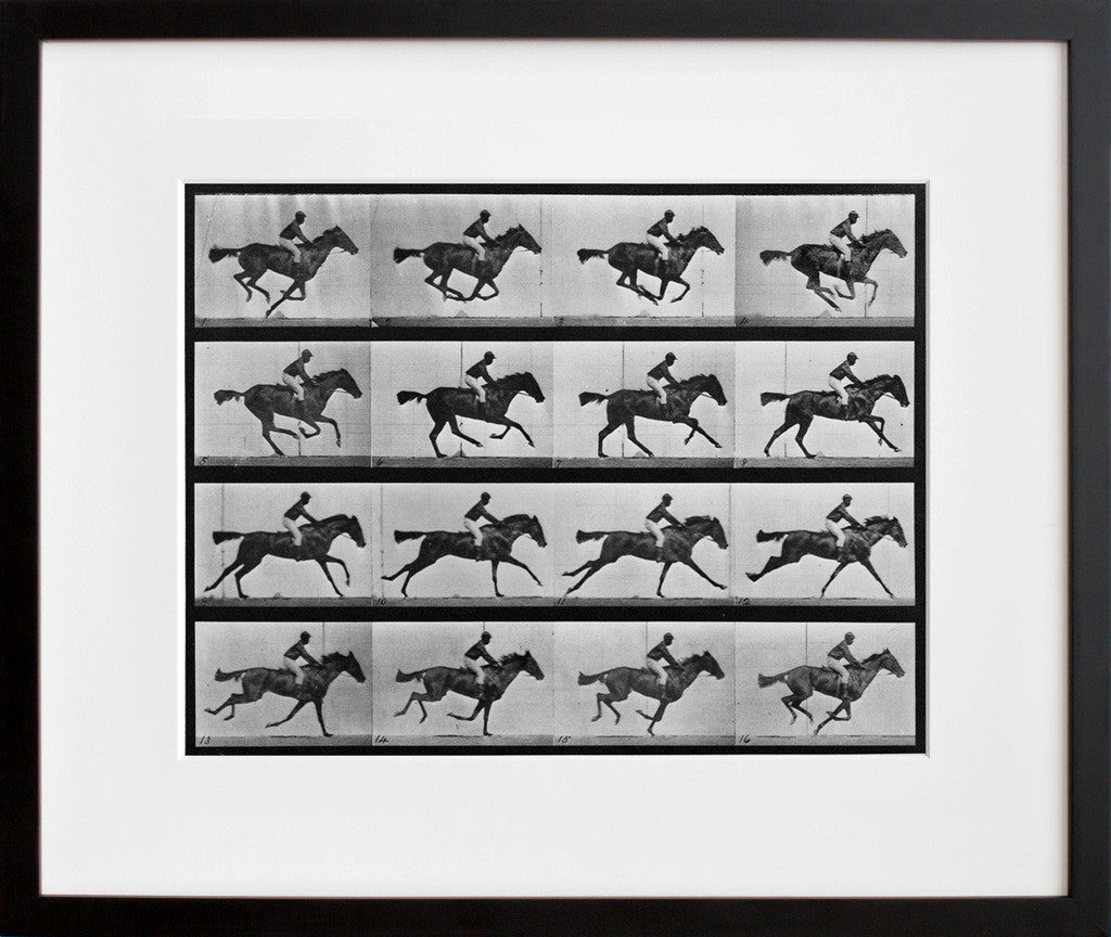 Animal Locomotion: Plate 626 (Galloping Horse) in a black frame