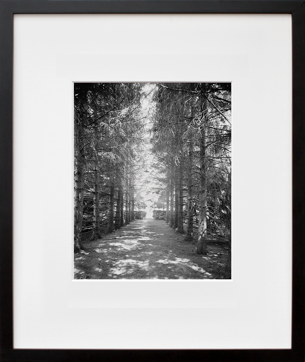 The Firs, under the firs, New Baltimore, Mich. in a black frame