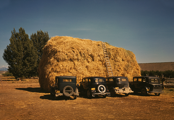 Hay stack and automobile of peach pickers, Delta County, Colorado