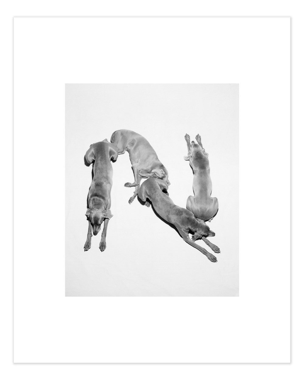 William Wegman's Letters: N