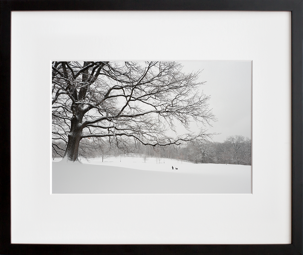 The White Oaks No. 2 in a black frame