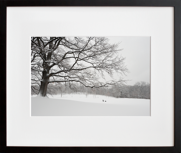 Load image into Gallery viewer, The White Oaks No. 2
