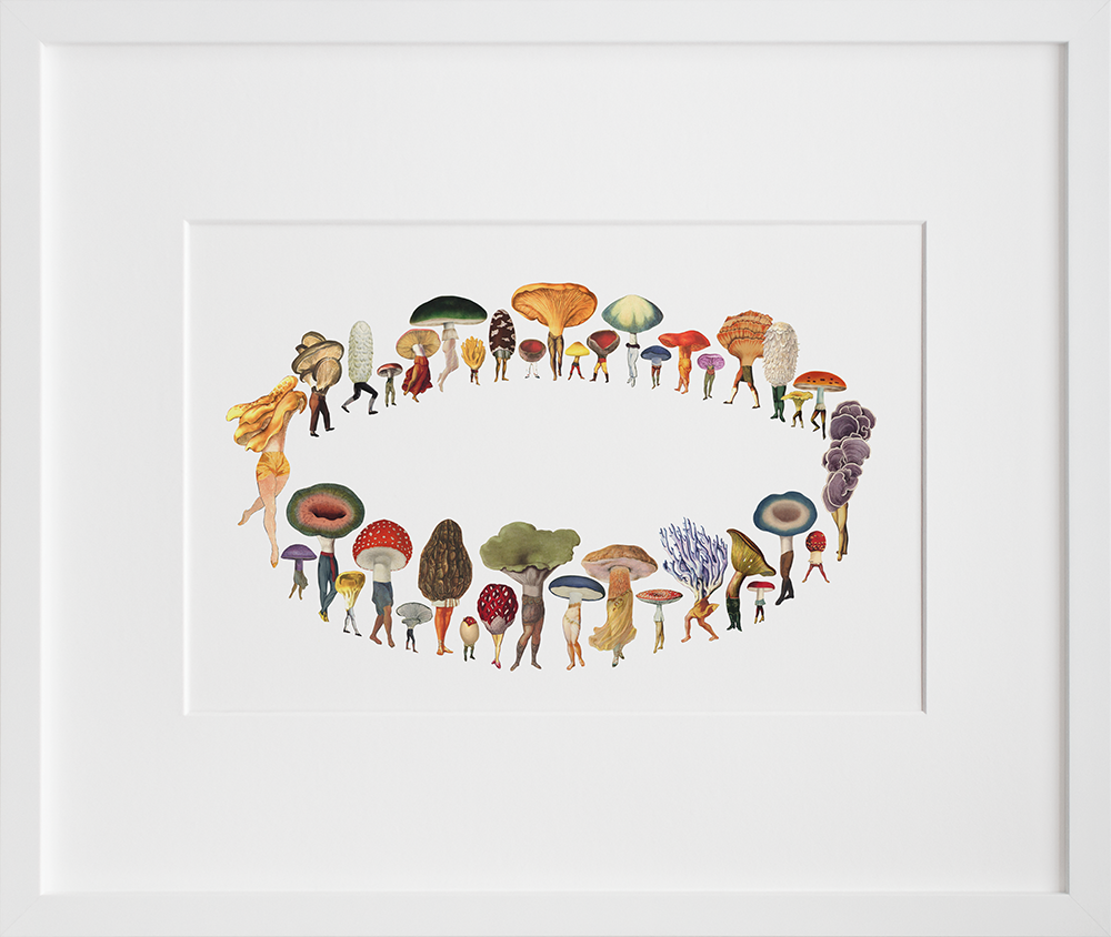 Fairy Ring in a white frame