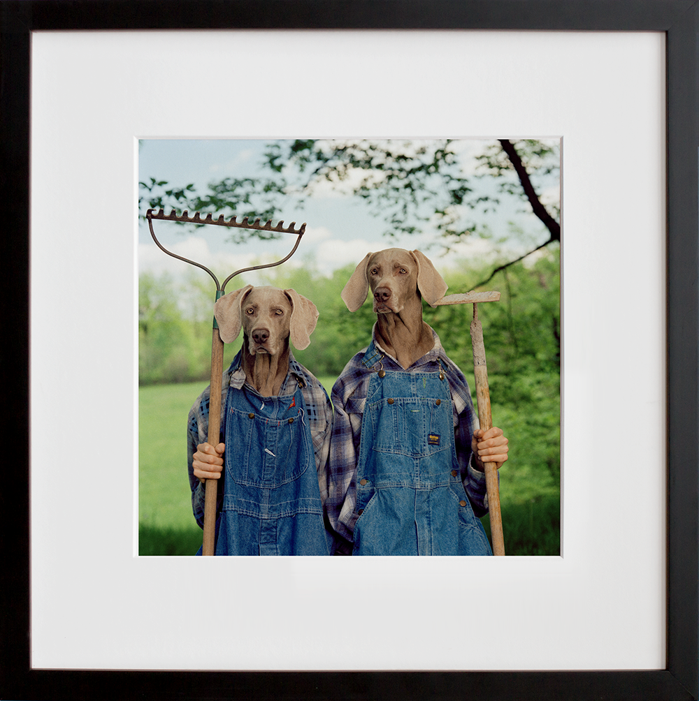 Farm Days in a black frame