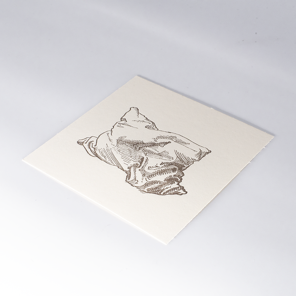 Load image into Gallery viewer, Single Pillow Studies Letterpress
