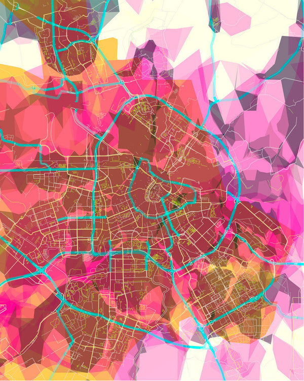 Load image into Gallery viewer, prettymaps (amsterdam)
