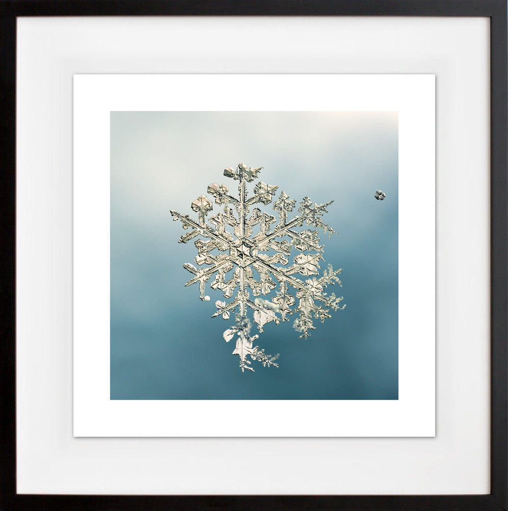alleverythingthatisyou sno7_057 in a black frame