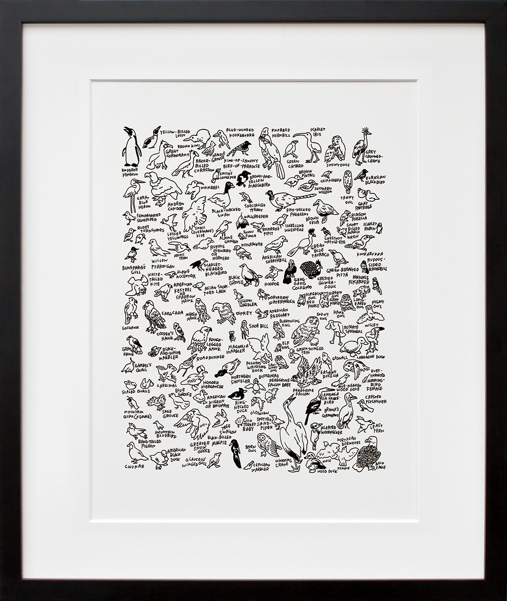 132 Birds at The American Museum of Natural History in a black frame