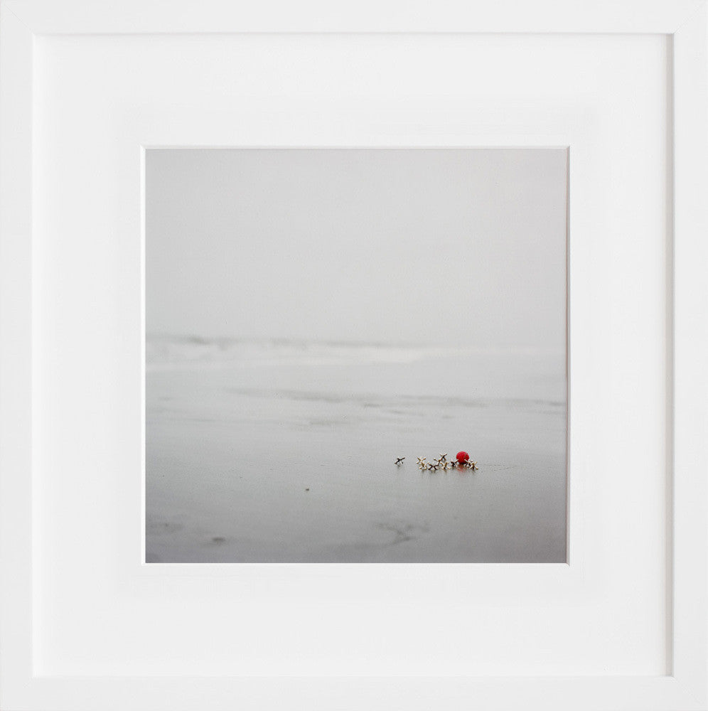 Jacks in a white frame