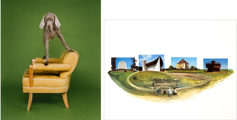 William Wegman's About Four Thirty + The Architects | 20x200