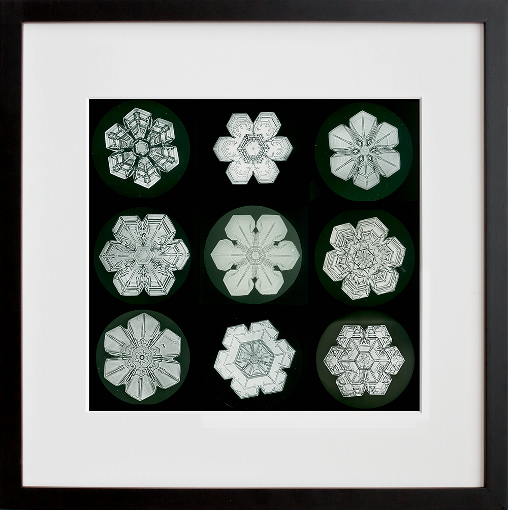 Snow Crystals in a black frame