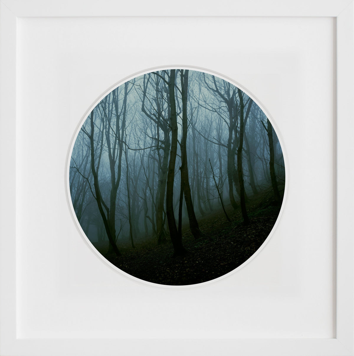 Blackford Forest in a white frame