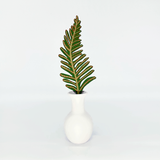 Forever Flower: Fern Frond