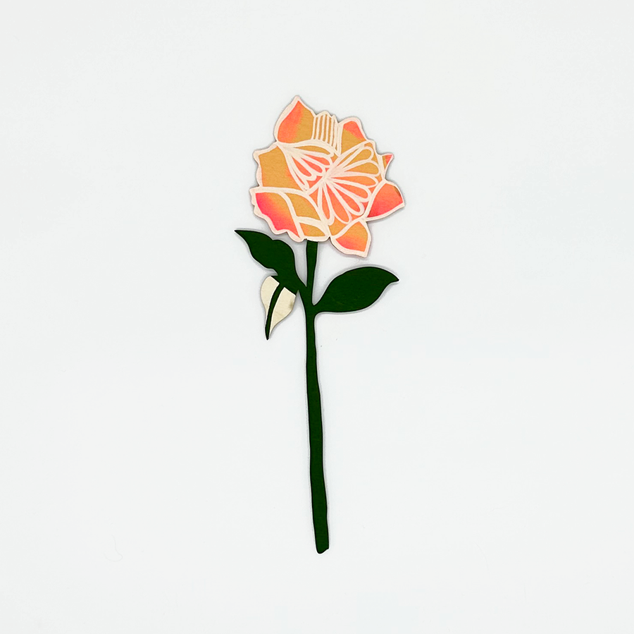 Forever Flower: Garden Rose