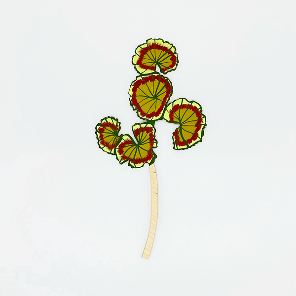 Forever Flower: Geranium Leaf