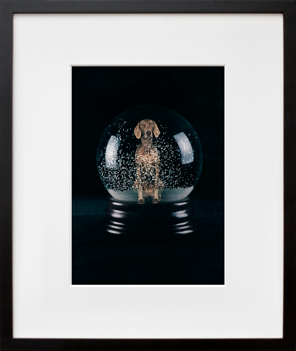 Sno Glo in a black frame